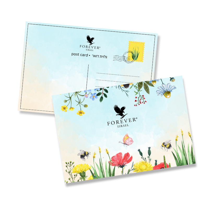 כרטיסי ברכה